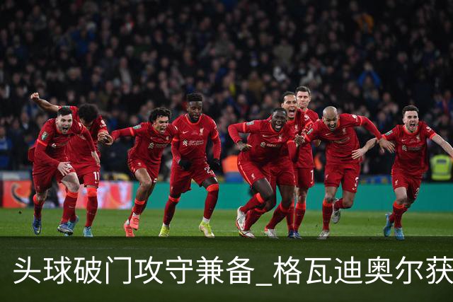 头球破门攻守兼备 格瓦迪奥尔获世界杯官方全场最佳