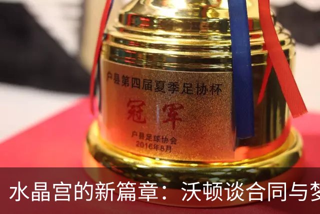 水晶宫的新篇章：沃顿谈合同与梦想
